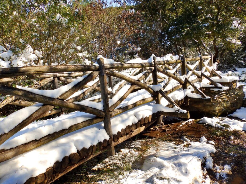 wooden bridge snow