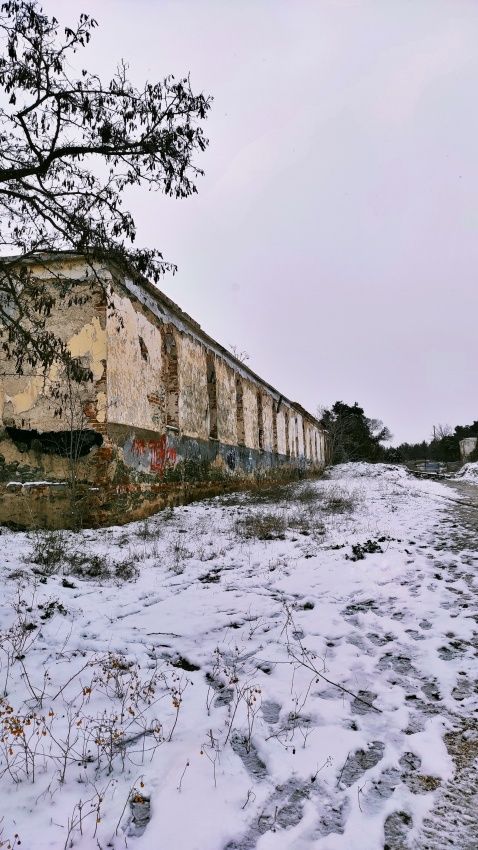 paylou_xioni