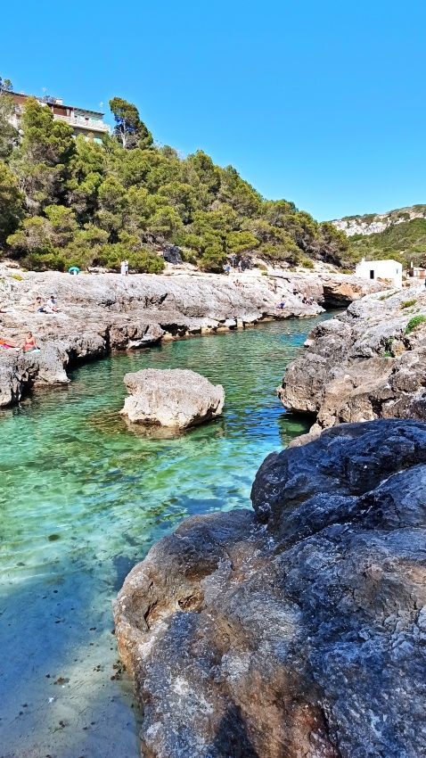 calo-de-moro